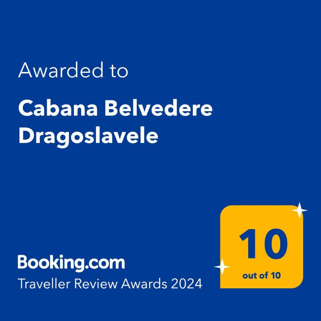Cabana Belvedere Dragoslavele 外观 照片